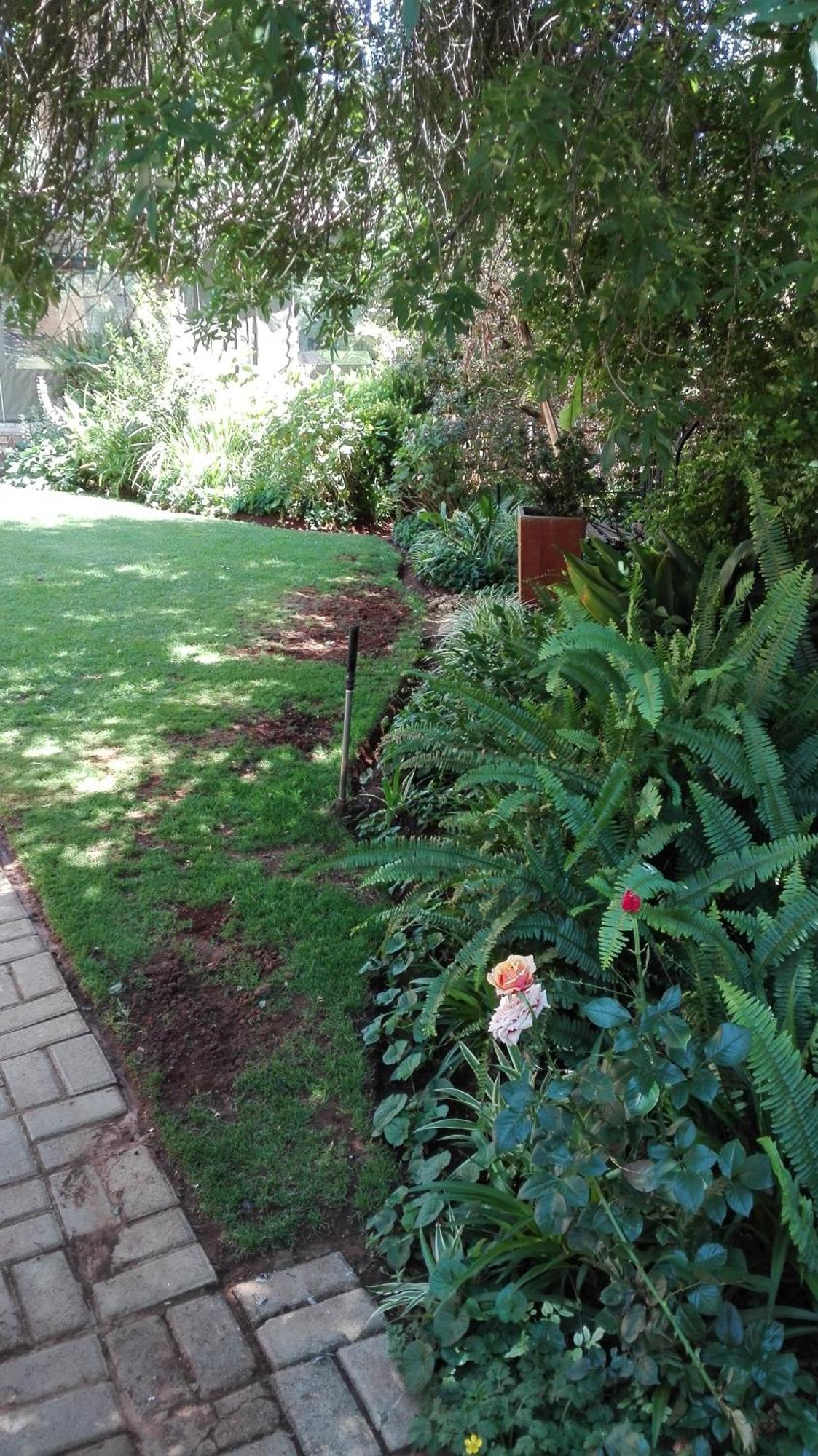 Ukarimu Guest House كليركسدروب المظهر الخارجي الصورة